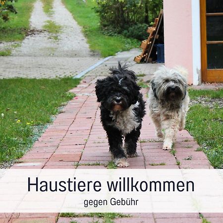 Seezeit Ferienwohnungen & Seminarhaus Am Ammersee ดีสเซิน อัม อัมเมอร์เซ ภายนอก รูปภาพ