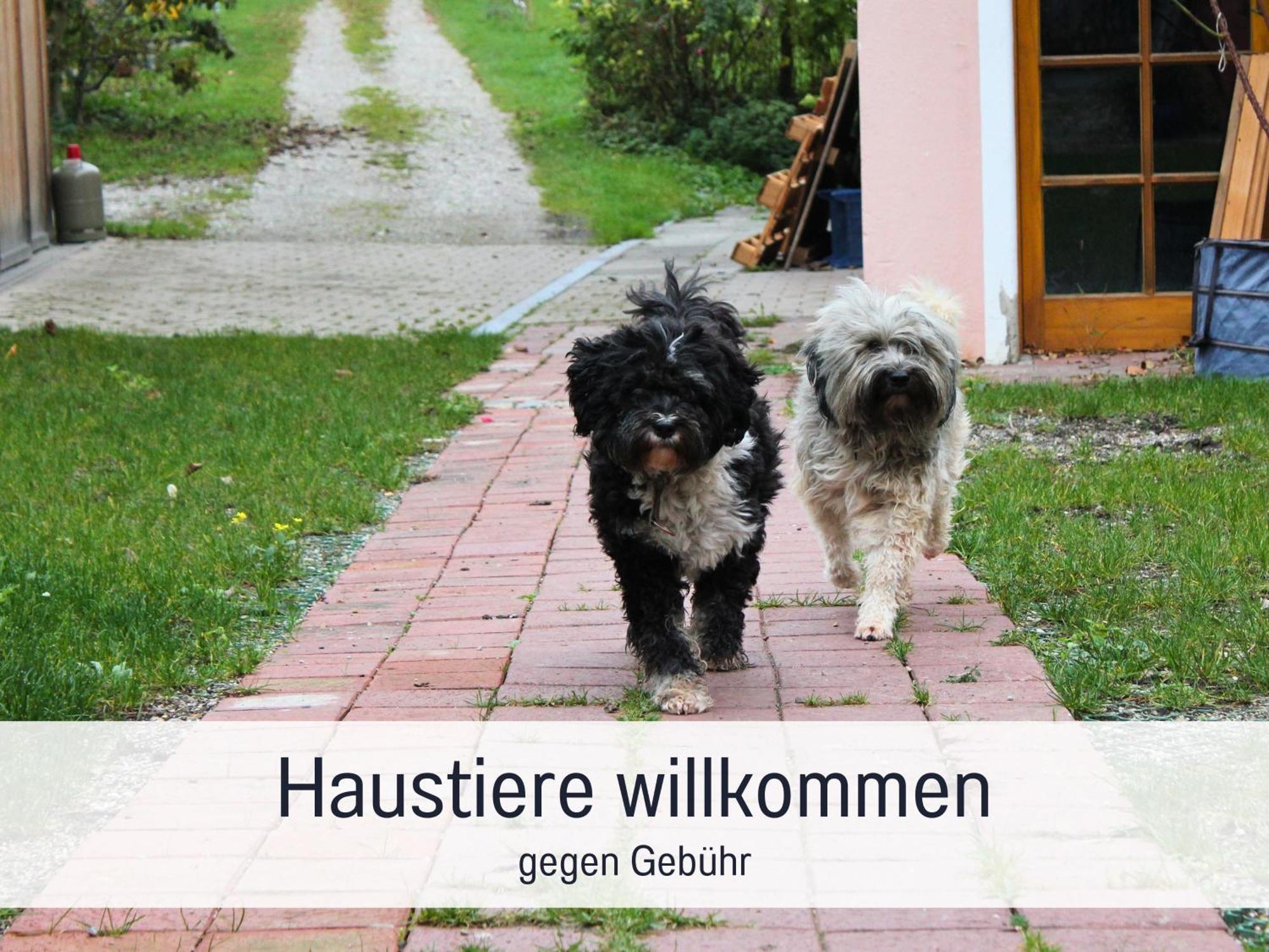 Seezeit Ferienwohnungen & Seminarhaus Am Ammersee ดีสเซิน อัม อัมเมอร์เซ ภายนอก รูปภาพ